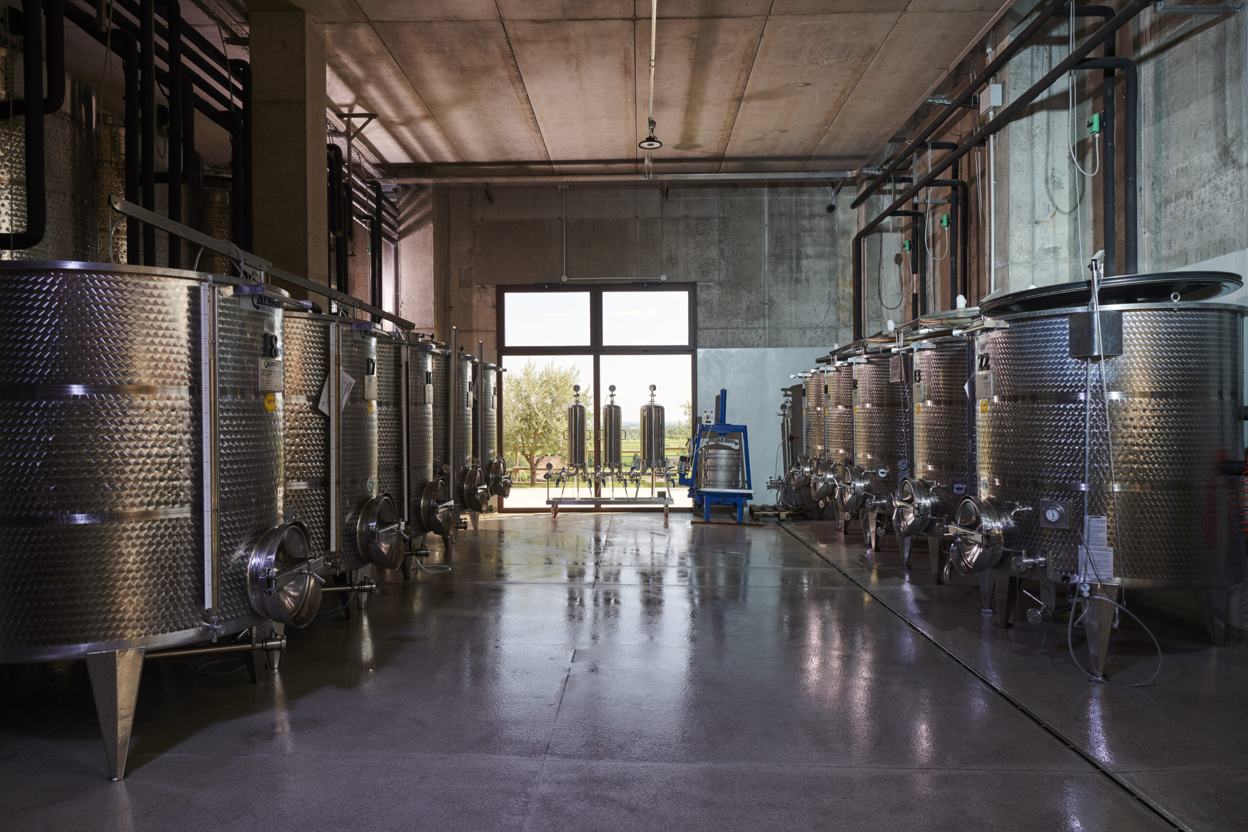 Tenuta Maule 20254402